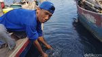 Foto: Yang Cantik Tapi Bau di Banten