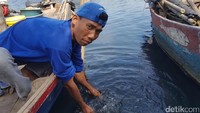 Warga menjelaskan air Sungai Ciujung menghitam dan berbau. Air ini seperti berminyak dan banyak ikan-ikan kecil mati (Bahtiar/detikcom)