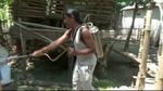 Foto: Kambing Diduga Diserang Anjing Jadi-jadian di Probolinggo