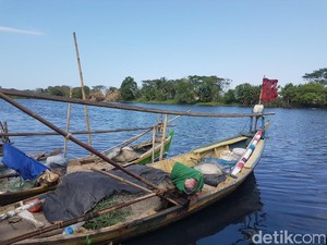 Pencemaran Sungai Ciujung, Kementerian LHK Minta Pemda Proaktif