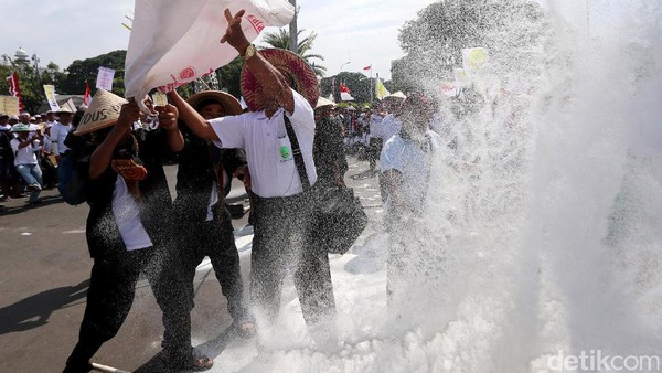 Tuntut Harga Gula Naik, Ribuan Petani Tebu Demo di Istana