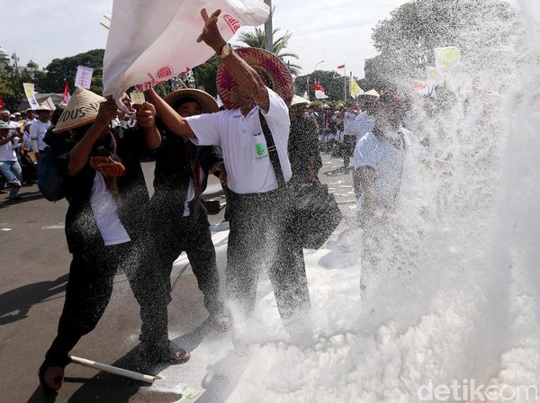 Tuntut Harga Gula Naik, Ribuan Petani Tebu Demo di Istana