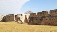 Jajali juga museum dan situs bersejarah di Tanzania. Seperti reruntuhan Kaole, kawasan konservasi Ngorogoro, Mikindani dan masih banyak lainnya (tanzaniatourism.com)