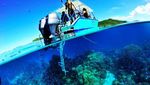 Foto: Bora-bora, Tempat Liburannya Artis Dunia