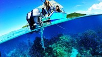Snorkeling, diving hingga watersport pun sangat asyik dilakukan di sini. Mau menikmati dengan santai hingga berpetualang pun bisa, juga hopping island di beberapa pulau sekitarnya (borabora.com)