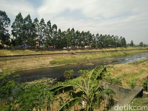 Melihat Aliran Kanal Banjir Timur yang Bersih dari Sampah