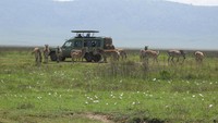Tanzania dikenal sebagai kiblat safari bagi big five yaitu gajah, singan, macan tutul, kerbau, dan badak. Jadi tidak heran, bila salah satu konsep wisatanya adalah wisata safari (tanzaniatourism.com)