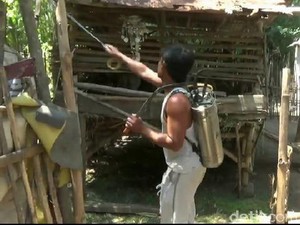 Kandang Tempat Kambing Mati Mendadak Disemprot Disinfektan
