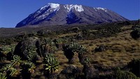 Para pendaki gunung pasti tidak asing dengan Gunung Kilimanjaro. Gunung tertinggi di Afrika ini merupakan sasaran para pendaki bila bertandang ke Tanzania (tanzaniatourism.com)