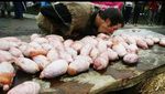 Ini 10 Lomba Makanan Paling Aneh dan Menjijikkan di Dunia