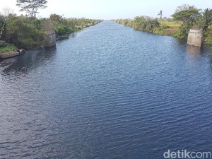 Sungai Ciujung Serang Tercemar, Sawah Warga Terancam Gagal Panen