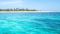 Di Tanzania, traveler juga bisa snorkling dan diving di pantai laut lepas yang berada di pulau-pulau cantik seperti Pulau Zanzibar, Pulau Pemba, dan Pulau Mafia (WonderfulTanzania/Twitter)