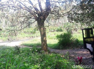 Dikira Sungguhan, Dinamit yang Ditemukan Mainan Properti Karnaval