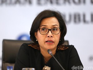 Sri Mulyani-DPR Rapat Virtual soal Corona 5 Jam, Ini Hasilnya