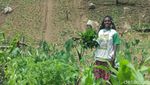Foto: Mama-mama di Pedalaman Papua
