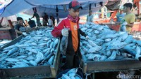 Kementerian Kelautan dan Perikanan (KKP) menggandeng sejumlah badan usaha milik negara (BUMN) untuk mengembangkan sektor perikanan.