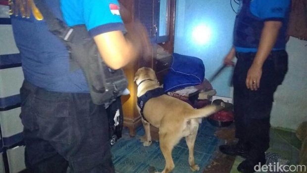 23 Orang Terjaring Razia Narkoba di Cilincing