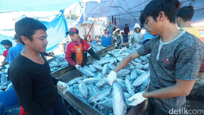 Ongkos Angkut Ikan Indonesia yang Mahal