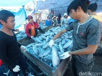 Ongkos Angkut Ikan Indonesia yang Mahal