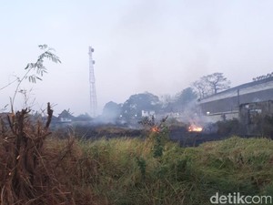 Gara-gara Bakar Sampah, Ilalang di Gudang Pabrik Es Dilalap Api