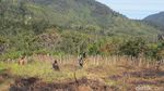 Foto: Mama-mama di Pedalaman Papua