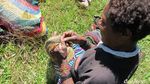 Foto: Mama-mama di Pedalaman Papua