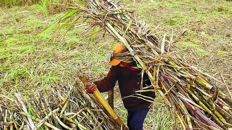 Istri Ketua Partai yang Lakukan Penipuan Dijadikan Tersangka Istri Ketua Partai yang Lakukan Penipuan Dijadikan Tersangka