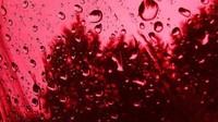 Wilayah Kerala, India pernah dilanda fenomena hujan berwarna merah seperti darah. Berbagai teori dikemukakan untuk mengungkapkan hujan apakah itu. 