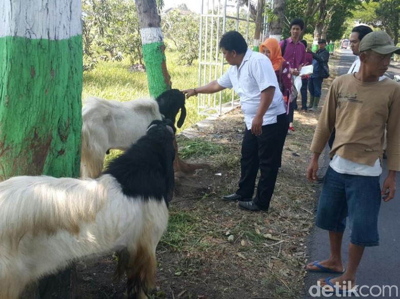 Salep Sakit Mata Dibagikan ke Pedagang Hewan Kurban di 