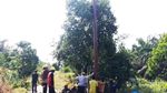 Begini Lho Perjuangan Terangi Pedalaman Riau
