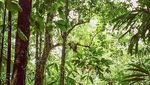 Foto: Fenomena Danau Mendidih