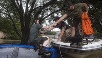 Petugas nampak membantu seorang pria untuk masuk ke dalam boat usai ditemukan terjebak di atas mobil.