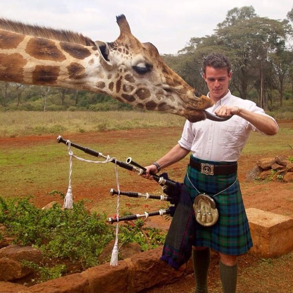 Sempat pula Jennings Bertemu jerapah yang bersahabat setelah memainkan bagpipe (thefirstpiper/Instagram) Sempat pula Jennings Bertemu jerapah yang bersahabat setelah memainkan bagpipe (thefirstpiper/Instagram)