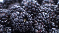 Blackberry membantu mencegah penuaan dan sangat bermanfaat bagi mereka yang mengalami rambut rontok. Selain itu, blackberry juga membantu kulit bersinar dan tetap aktif. Foto: Thinkstock