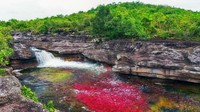 Adapun waktu terbaik untuk datang dan menikmati keindahan sungai ini yaitu Juli-Desember. Di saat musim panas inilah, alga dan lumut tumbuh semakin banyak dengan warna yang beragam.(Foto: Eric Mohl/BBC Travel)
