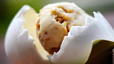 Mau Coba Es Krim Buaya?