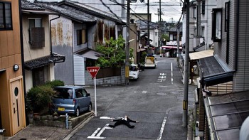 Foto: David Tesinsky