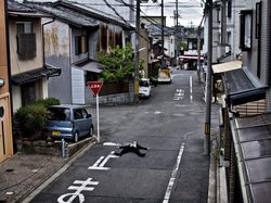 Potret Karyawan di Jepang Jadi Gelandangan Setelah Bekerja