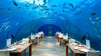 Restoran Ithaa Undersea di Maldives jadi incaran pencinta bawah laut. Untuk masuk ke sini, Anda harus ‘menyelam’ ke laut sedalam 5 meter. Foto: Istimewa