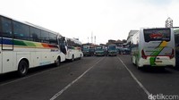 Bus-bus itu sebagian besar melayani trayek kota dalam provinsi dan trayek dalam kota antar provinsi.