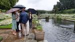 Saat William dan Harry Kenang 20 Tahun Meninggalnya Putri Diana