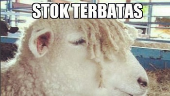 Kambing mahal nih. (Foto: Internet)
