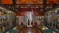 Museumnya sudah ada sejak tahun 1854 yang didirikan oleh para pelajar dari National Society of Medicine Lyon. Tujuan didirikannya Testut-Latarjet Museum adalah untuk mengenalkan anatomi alias struktur tubuh manusia dan juga struktur tubuh hewan kepada masyarakat (Musee Testut Latarjet/ Facebook)