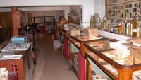 Koleksi-koleksinya tersimpan rapi dalam lemari kaca (Musee Testut Latarjet/ Facebook)