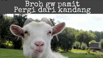 Pamit ya broh. (Foto: Internet)