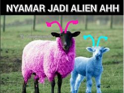 Belasan Meme Pesan Terakhir Para Hewan Kurban