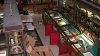 Harus hati-hati bila berkunjung ke sini. Jangan sampai merusak ataupun memecahkan kaca yang melindungi koleksi ya! (Musee Testut Latarjet/ Facebook)