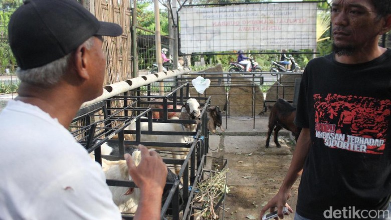 Kisah Raja Hindu di Bali Memberi Kurban Sapi Idul Adha