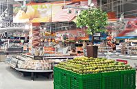 Transmart dan Carrefour Tawarkan Promo Beragam Bahan Makanan Segar