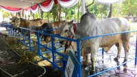 Foto: Istimewa